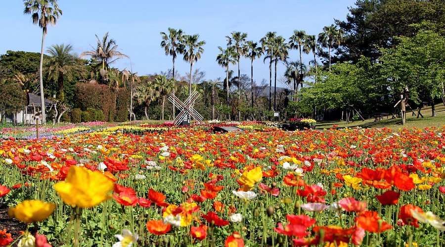 🌳 가고시마 건강의 숲 공원(가고시마 겐코노모리 코엔) 이미지 7